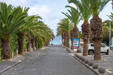 Porto Santo, Madeira, Portekiz - 03.24.2025: Porto Santo sahiline doğru uzanan sıra sıra palmiye ağaçları olan cadde
