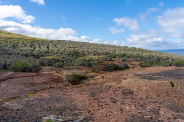 Morenos viewpoint in Porto Santo, Madeira, Portugal