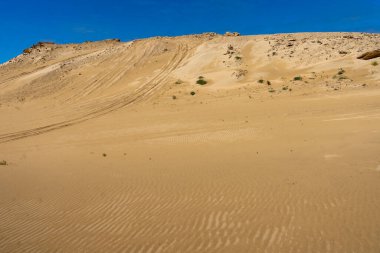 Dunes in Porto Santo island, Madeira, Portugal
