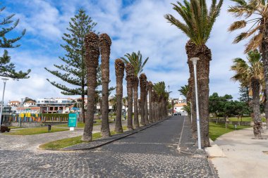 Porto Santo, Madeira, Portekiz - 03.24.2025: Porto Santo sahiline doğru uzanan sıra sıra palmiye ağaçları olan cadde