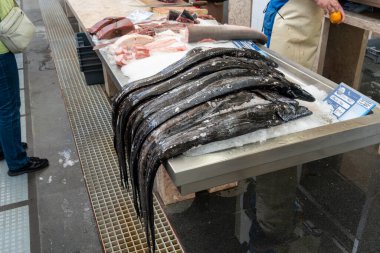 Portekiz 'in Madeira şehrinde buzun üzerinde kara kılıç balığı (Aphanopus carbo)