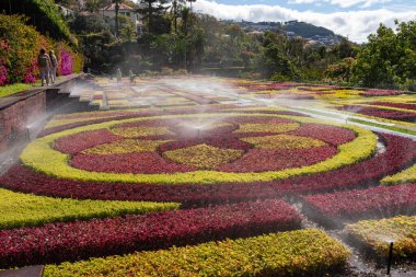 Funchal, Madeira, Portekiz - 03.27.2025: Funchal, Madeira, Portekiz 'deki Madeira Botanik Bahçesinde çiçeklere su püskürtme