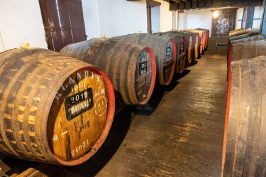 Funchal, Madeira, Portekiz - 03.27.2025: Funchal, Madeira, Portekiz 'deki Blandy' s Wine Lodge 'da büyük fıçılar