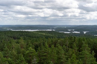 İsveç 'teki Tegner Kulesi' nin yeşil orman ve göllerine bakın.
