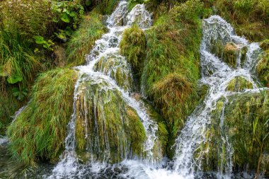 Hırvatistan 'ın Plitvice Gölleri Ulusal Parkı' ndaki Yosunlu Kayaların Üzerinden Akan Su