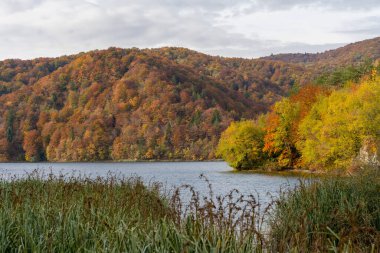 Hırvatistan 'ın Plitvice Gölleri Ulusal Parkı' ndaki Sakin Göl 'e Sonbahar Ormanı Yansıdı