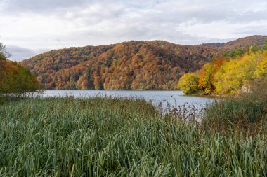 Hırvatistan 'ın Plitvice Gölleri Ulusal Parkı' ndaki Sakin Göl 'e Sonbahar Ormanı Yansıdı