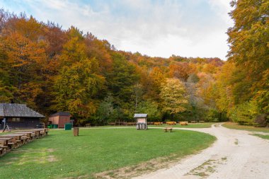 Hırvatistan - 10.19.2025: Plitvice Gölleri Ulusal Parkı, Hırvatistan 'da sonbaharda turistler