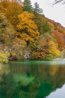 Hırvatistan 'ın Plitvice Gölleri Ulusal Parkı' ndaki Huzur Gölü Üzerine Sonbahar Yansımaları