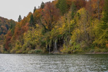Hırvatistan 'ın Sonbaharda Plitvice Gölleri Ulusal Parkı Turkuaz Şelalesi ve Kristal Berrak Gölü