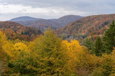 Hırvatistan 'ın Plitvice Gölleri Ulusal Parkı' ndaki Sonbahar Ormanları