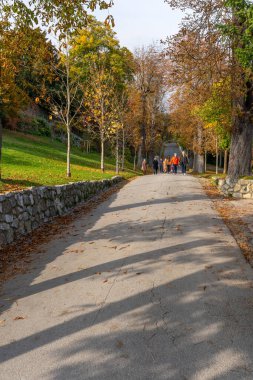 Graz, Avusturya - 10.19.2025: Avusturya 'nın Graz kentinde Schlossberg' de Ağaçlar Arasında Yürüyen Yol