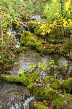 Hırvatistan 'ın Krka Ulusal Parkı' ndaki Manzaralı Nehir Manzarası