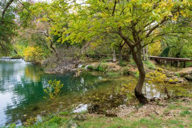 Hırvatistan 'ın Krka Ulusal Parkı' ndaki Manzaralı Nehir Manzarası