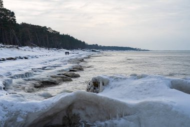 Karla kaplı plaj ve çam ormanlarıyla Donmuş Baltık Denizi Sahil Hattı