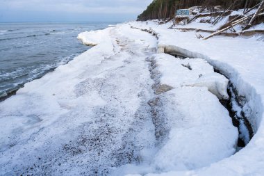 Karla kaplı plaj ve çam ormanlarıyla Donmuş Baltık Denizi Sahil Hattı