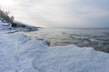 Karla kaplı plaj ve çam ormanlarıyla Donmuş Baltık Denizi Sahil Hattı