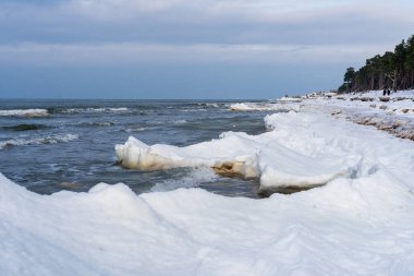 Karla kaplı plaj ve çam ormanlarıyla Donmuş Baltık Denizi Sahil Hattı