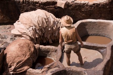 Fez (Fes), Fas - 05 / 06 / 2013: Geleneksel araçlar ve tamamen doğal kimyasallar kullanan işçilerle Fez 'deki geleneksel tabakhaneler.