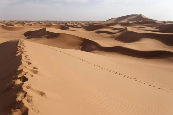 Sahara Woestijn Marokko 2013 — Stockfoto