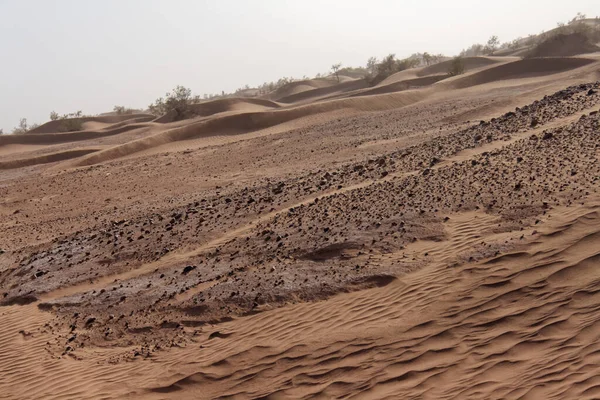 モロッコのサハラ砂漠2013 — ストック写真