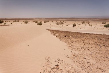 Fas 'ta Sahra Çölü 2013