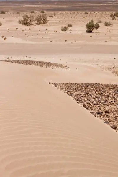 Sahara Woestijn Marokko 2013 — Stockfoto