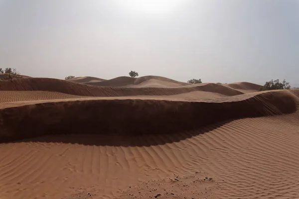 Сахара Пустеля Марокко 2013 — стокове фото