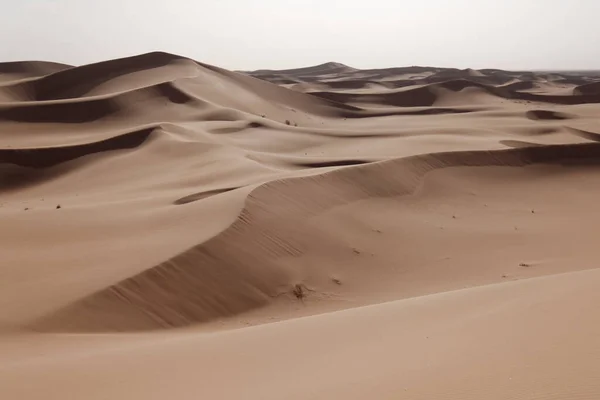 Sahara Woestijn Marokko 2013 — Stockfoto