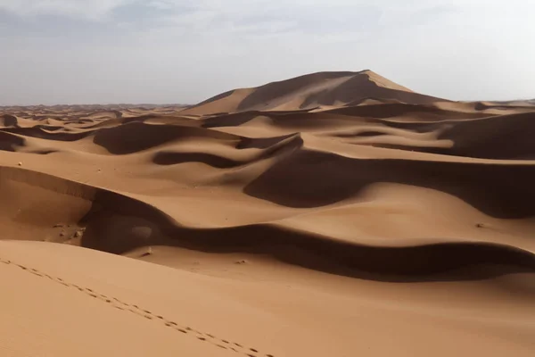 Sahara Desierto Marruecos 2013 — Foto de Stock