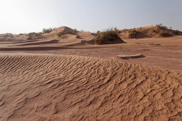 Sahara Desert Morocco 2013 — Stock Photo, Image