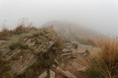 Sonbahar sisinde Bieszczady Dağları