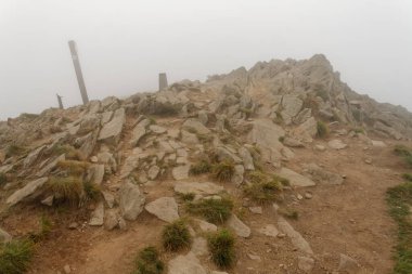 Bieszczady dağları Teh sonbahar sisinde