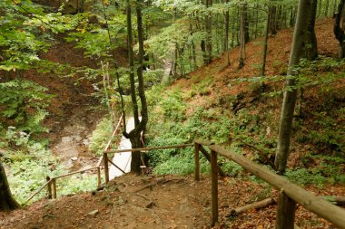 Hiking trail in Bieszczady mountains in southeastern Poland.