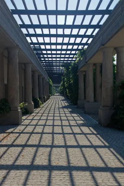 Colonnade Green Tunnel Park Szczytnicki Wroclaw Wrocaw — Foto Stock