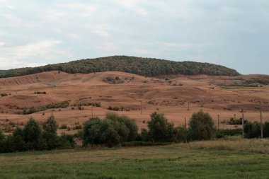 Romanya 'nın doğusunda adımlar, 2007