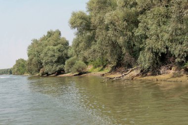 Romanya 'da Tuna Nehri deltasında 2007 yazında tatil gezisi.