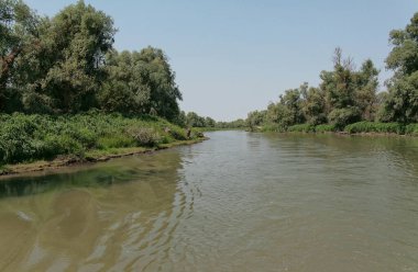 Romanya 'da Tuna Nehri deltasında 2007 yazında tatil gezisi.