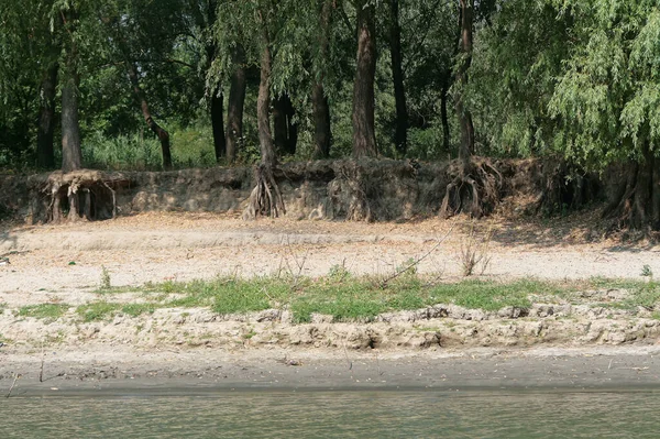 Fritidskryssning Donau Delta Rumänien Sommaren 2007 — Stockfoto