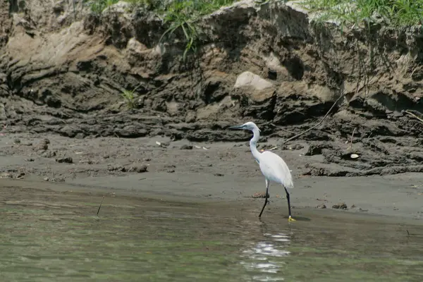 Leisure Cruise Danube River Delta Romania Summer 2007 — Stock Photo, Image