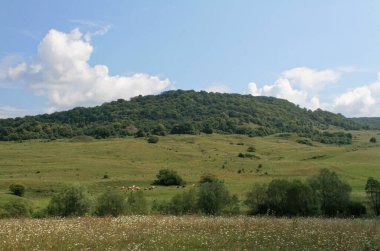 Transilvanya 'nın kırsal kesimi