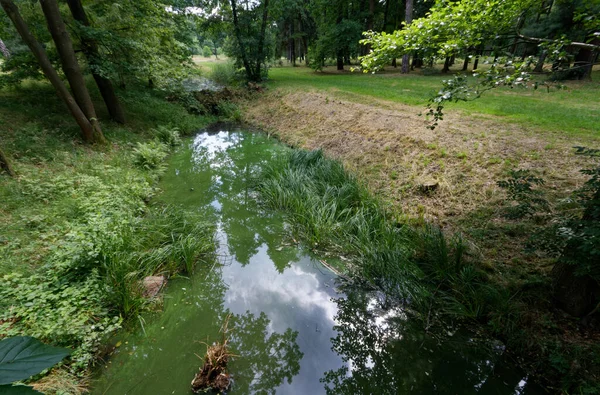 Парк Свиркланец Сласкье Польша Июль 2021 Года — стоковое фото