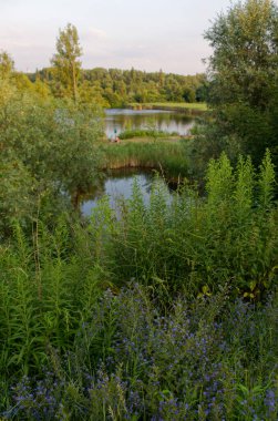 Bytom, Slaskke, Polonya 'daki Zabie Doly doğal eğlence kompleksi üzerinde gün batımı. Temmuz 2021.
