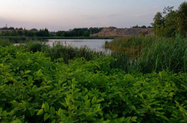 Temmuz 2021. Bytom, Slaskie, Polonya 'daki Zabie Doly doğal eğlence merkezi.