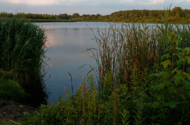 Temmuz 2021. Bytom, Slaskie, Polonya 'daki Zabie Doly doğal eğlence merkezi.