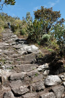 2015 'te Machu Picchu dağına tırmanmak