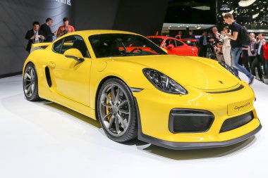 2015 Porsche Cayman Gt4