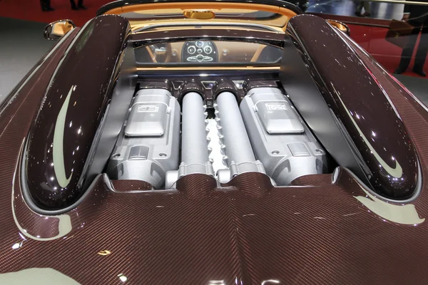 2014 Bugatti Veyron Rembrandt Bugatti