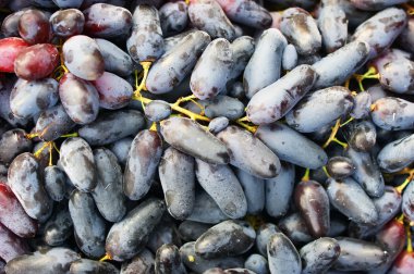 siyah üzüm arka plan