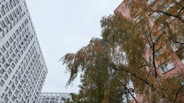 Ευρεία Γωνία Άποψη Των Κτιρίων Κατοικιών Φθινόπωρο Στη Μόσχα — Φωτογραφία Αρχείου
